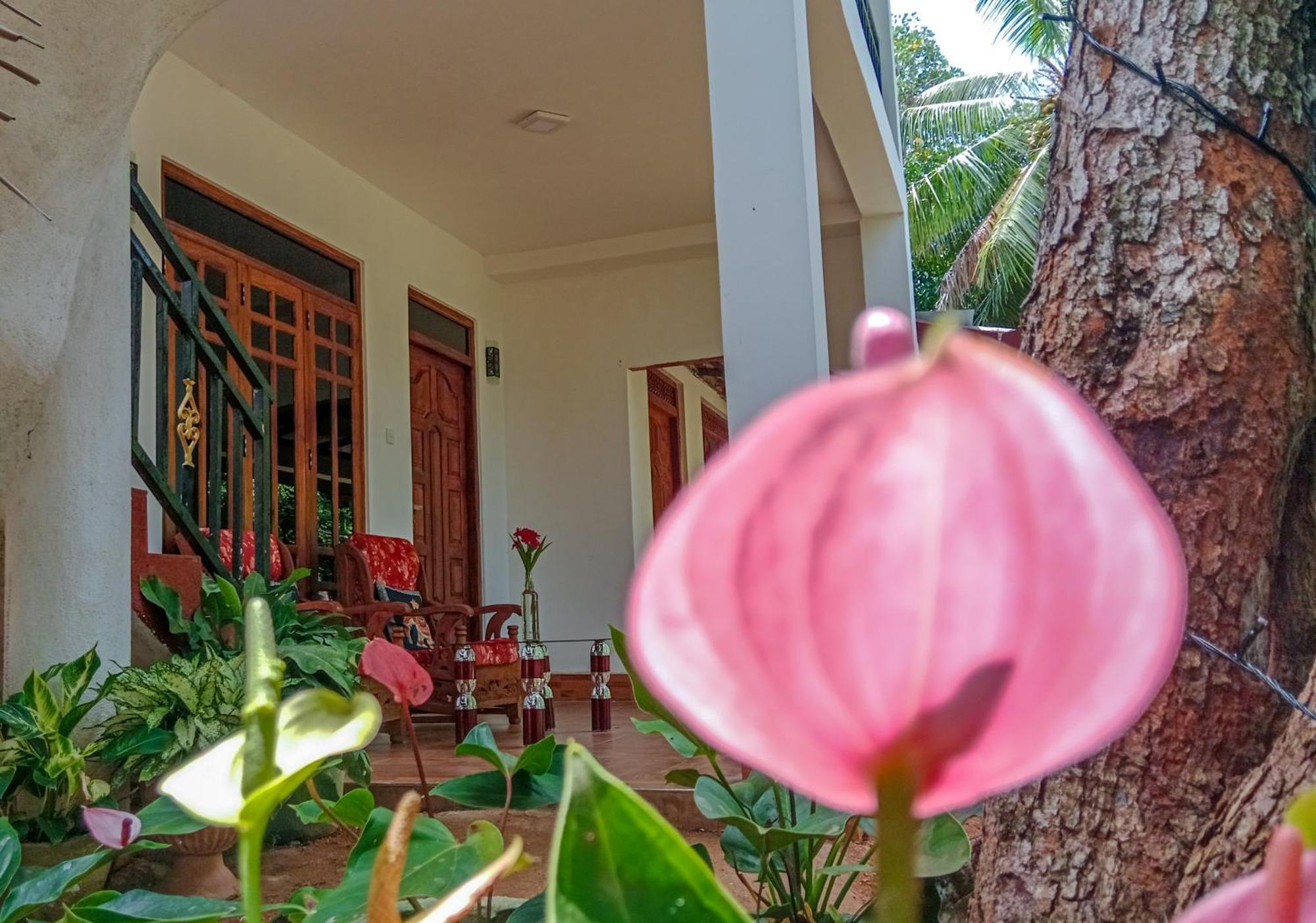 Gimhana Homestay สิกิริยา ภายนอก รูปภาพ