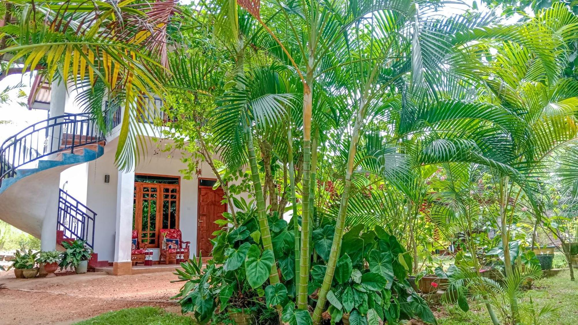 Gimhana Homestay สิกิริยา ภายนอก รูปภาพ