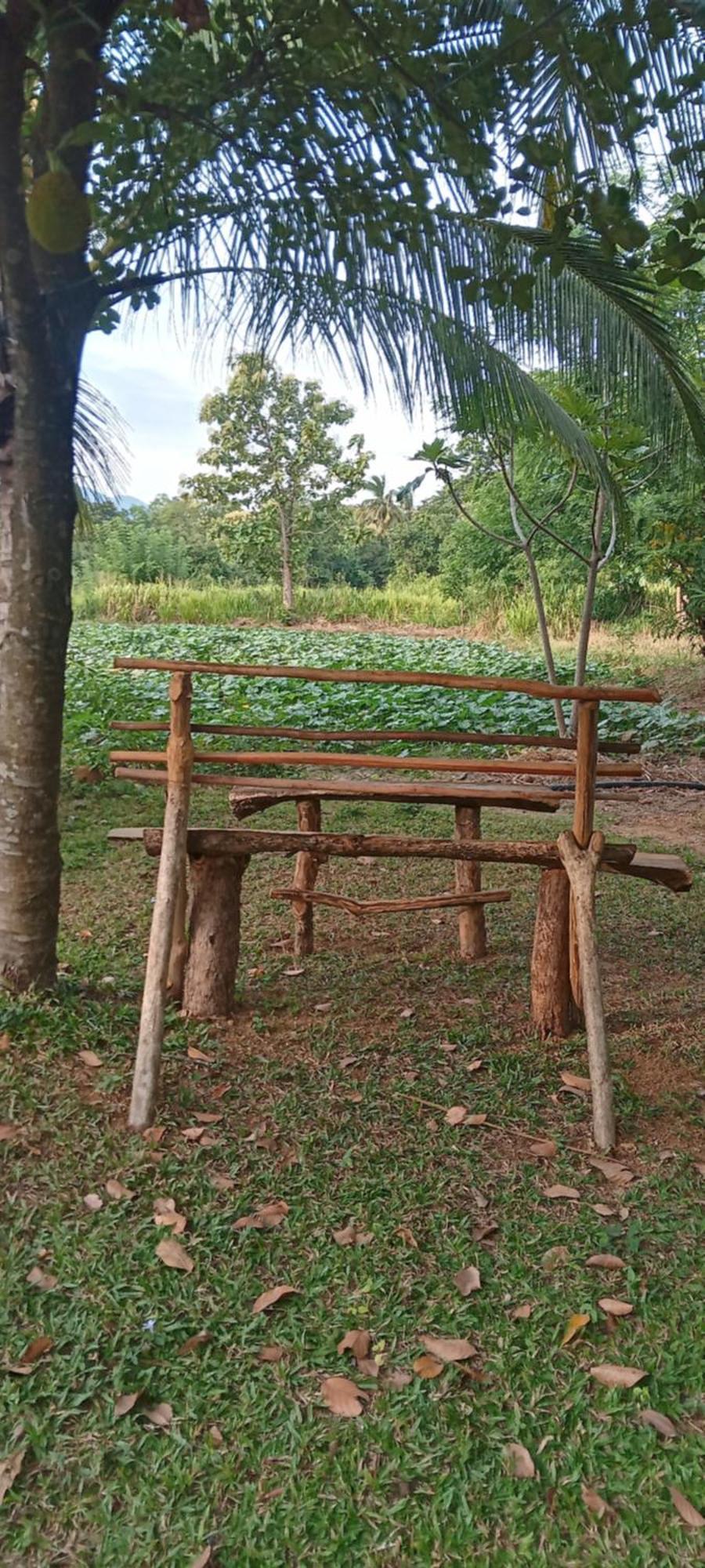 Gimhana Homestay สิกิริยา ภายนอก รูปภาพ